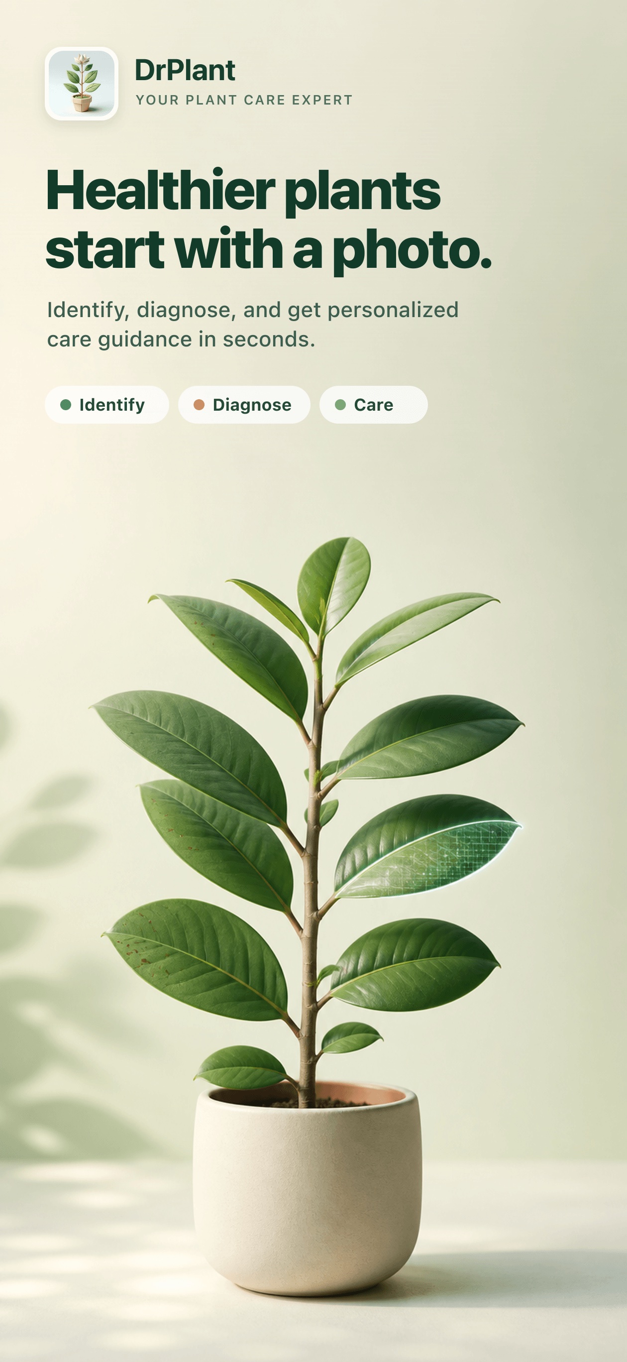 DrPlant app on iPhone showing plant identification features