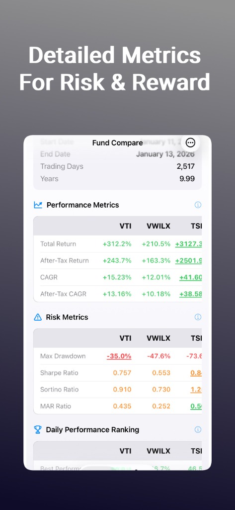 Detailed Performance and Risk Metrics Table